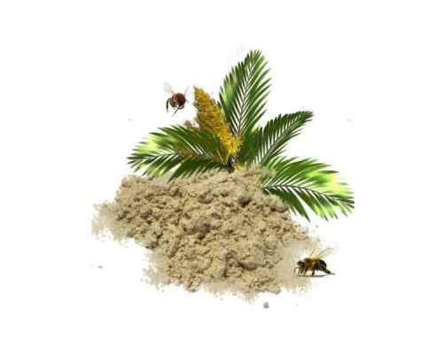 Пальмовая пыльца (Весовой) 1кг